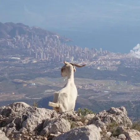 Daire Solmontesmare Benidorm